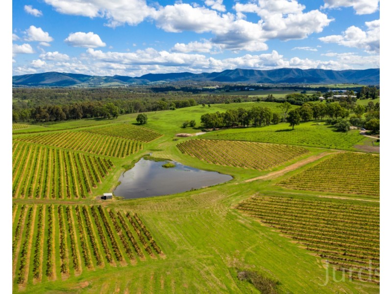 59 Palmers Lane, Pokolbin NSW 2320