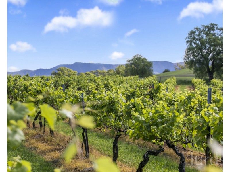 59 Palmers Lane, Pokolbin NSW 2320