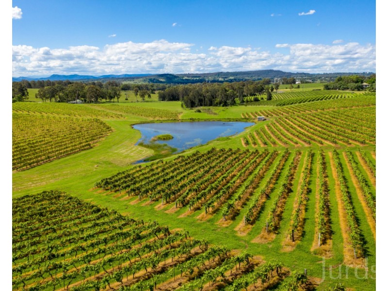 59 Palmers Lane, Pokolbin NSW 2320