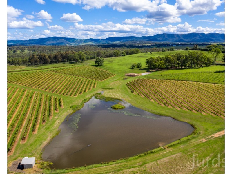 59 Palmers Lane, Pokolbin NSW 2320