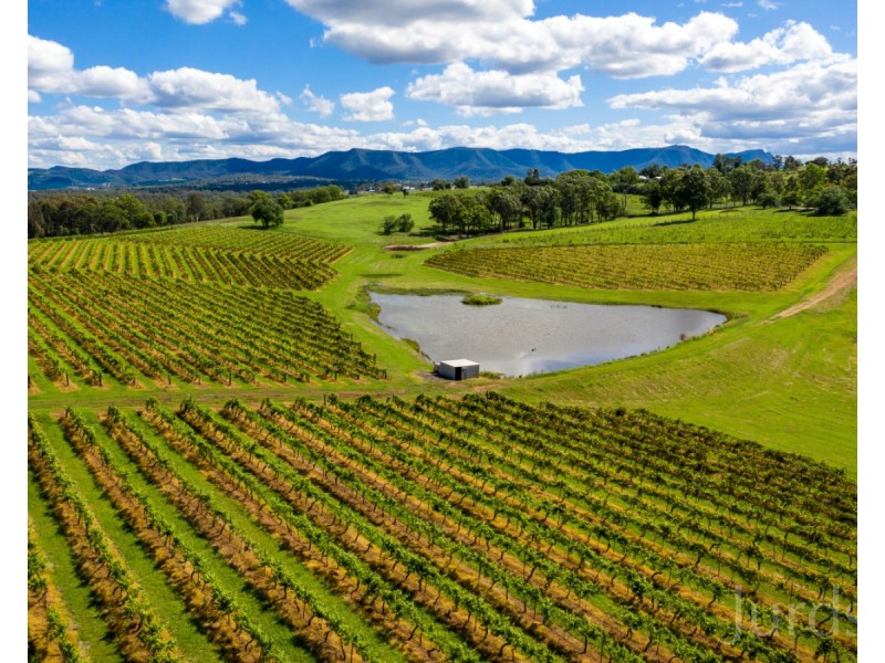 59 Palmers Lane, Pokolbin NSW 2320