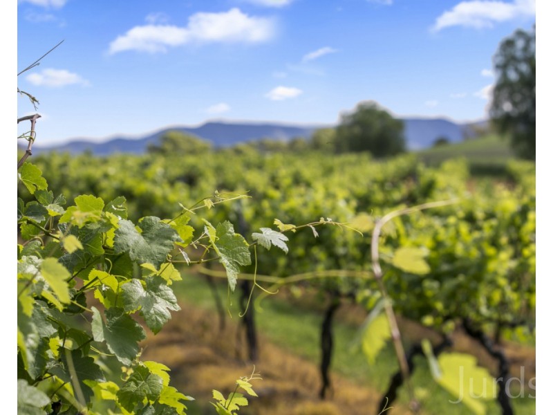 59 Palmers Lane, Pokolbin NSW 2320