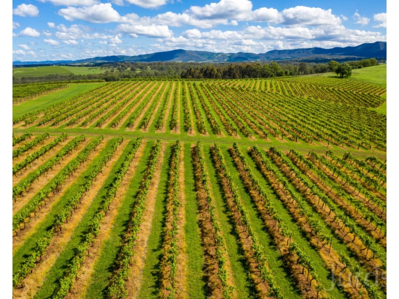 59 Palmers Lane, Pokolbin NSW 2320