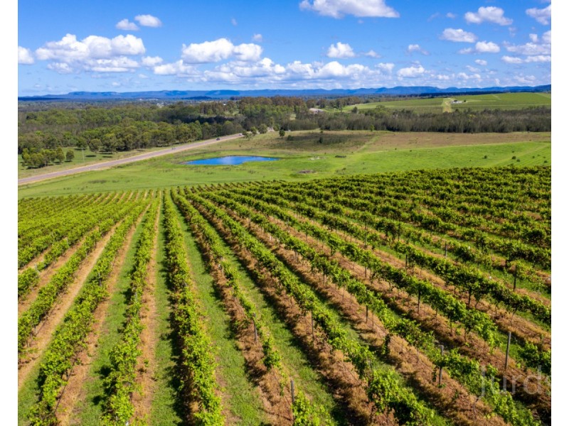 59 Palmers Lane, Pokolbin NSW 2320