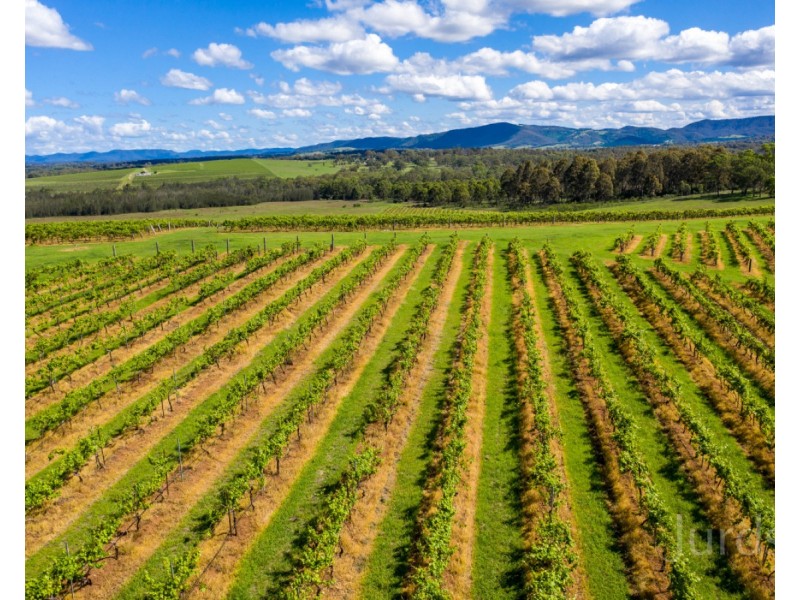 59 Palmers Lane, Pokolbin NSW 2320