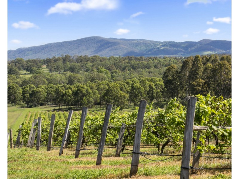 59 Palmers Lane, Pokolbin NSW 2320