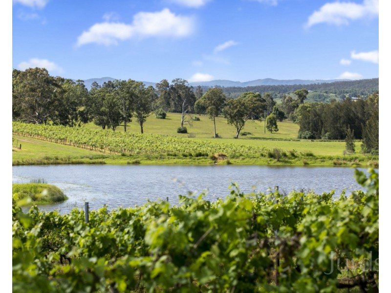 59 Palmers Lane, Pokolbin NSW 2320