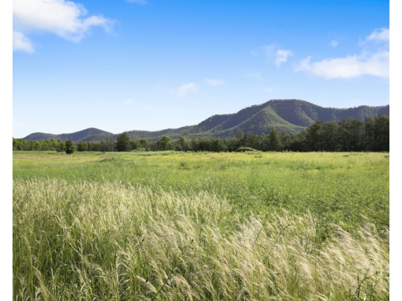 132 Wollombi Road, Broke NSW 2330