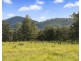 132 Wollombi Road, Broke NSW 2330