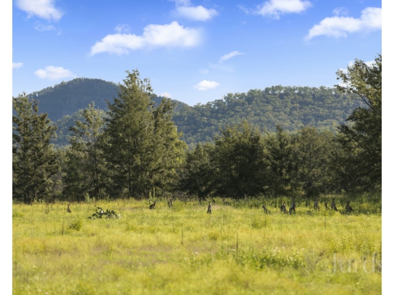 132 Wollombi Road, Broke NSW 2330