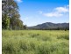 132 Wollombi Road, Broke NSW 2330