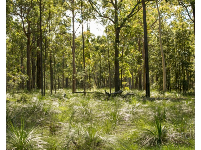 236 Mount Faulk Road, Cooranbong NSW 2265