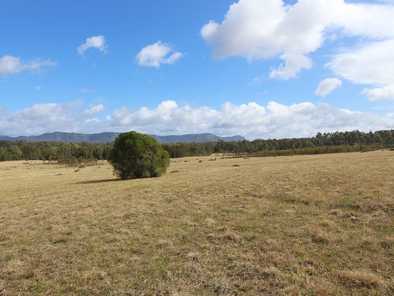 89/ Cnr McDonalds Road & Palmers Lane, Pokolbin NSW 2320