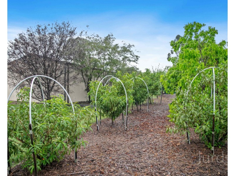 7 Highfield Way, Branxton NSW 2335