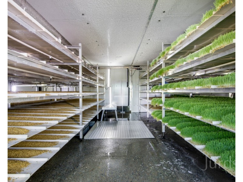 1428 Raymond Terrace Road, Nelsons Plains NSW 2324