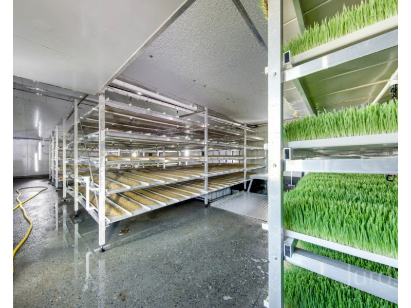 1428 Raymond Terrace Road, Nelsons Plains NSW 2324