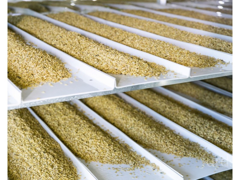 1428 Raymond Terrace Road, Nelsons Plains NSW 2324