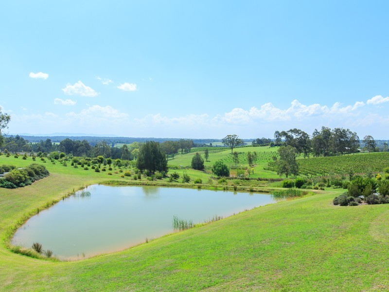 186 Old North Road, Pokolbin NSW 2320