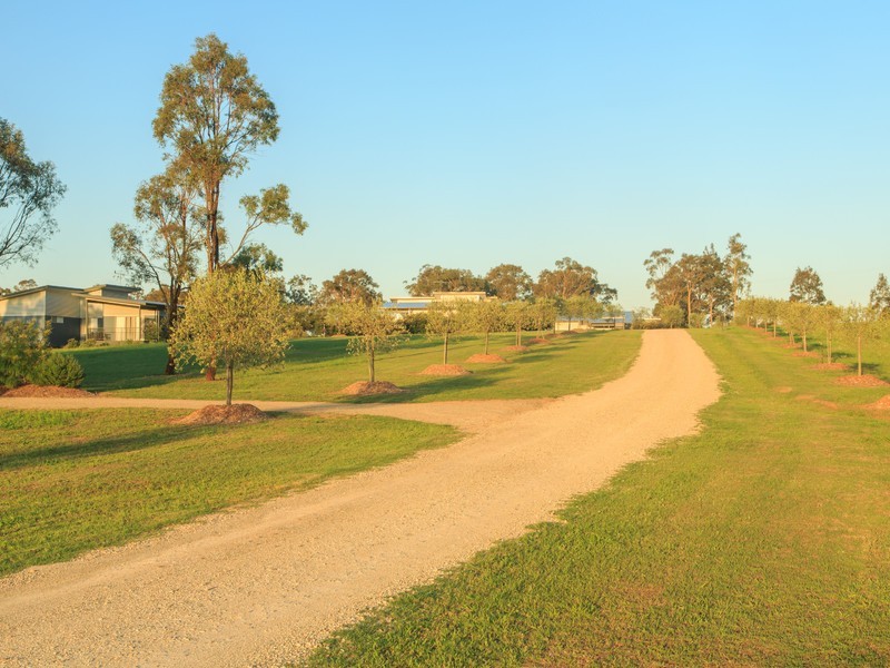 186 Old North Road, Pokolbin NSW 2320