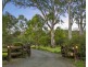 Congewai NSW 2325