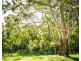 Congewai NSW 2325
