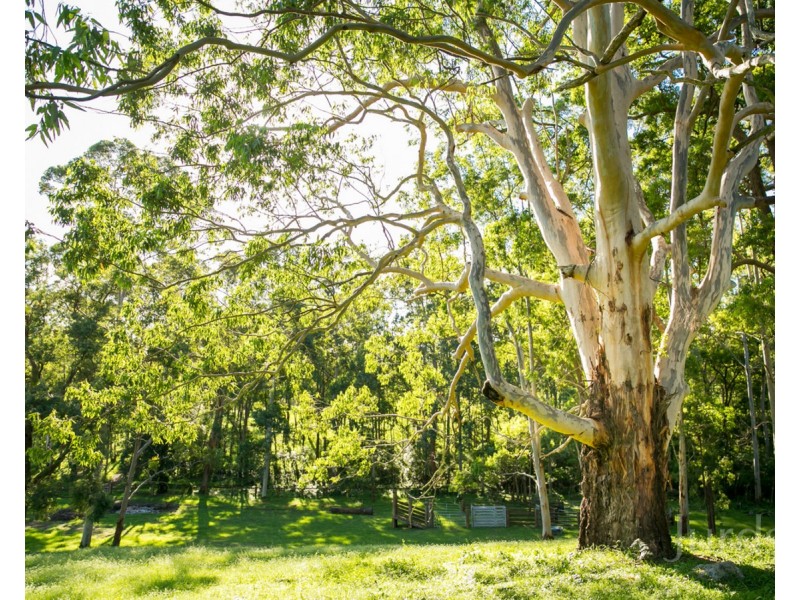 Congewai NSW 2325