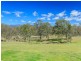 198 Old North Road, Pokolbin NSW 2320