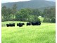 1405 Mount View Road, Mount View NSW 2325