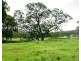 1405 Mount View Road, Mount View NSW 2325