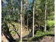 1405 Mount View Road, Mount View NSW 2325