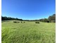1405 Mount View Road, Mount View NSW 2325