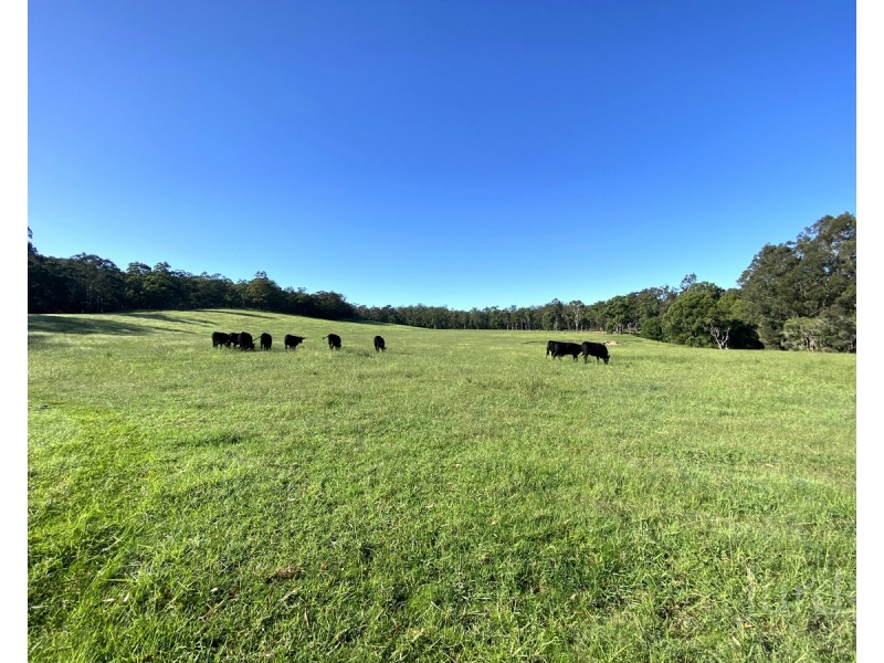 1405 Mount View Road, Mount View NSW 2325