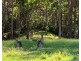 1405 Mount View Road, Mount View NSW 2325
