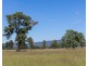 Lot 102, 221 Debeyers Road, Pokolbin NSW 2320