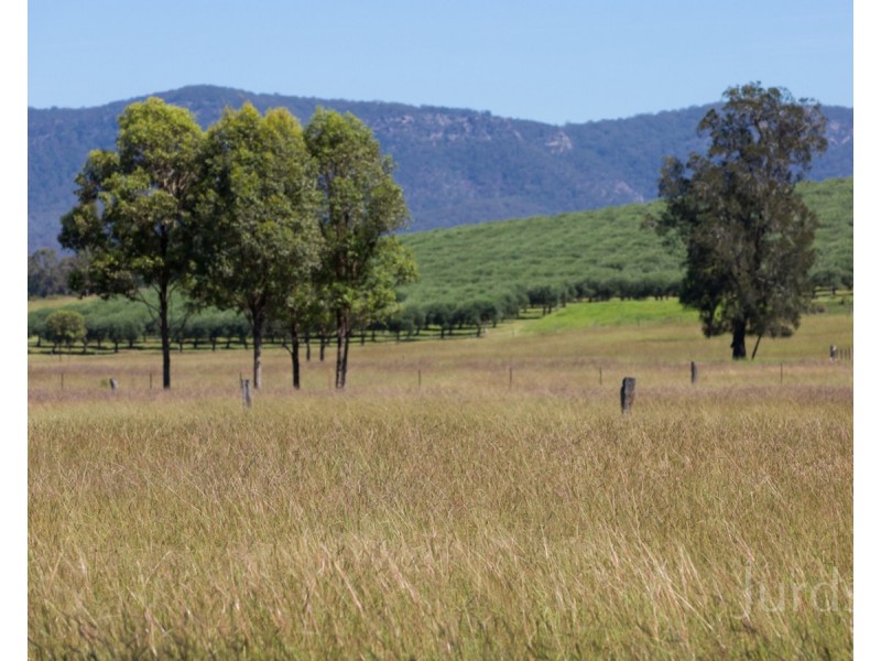 Lot 102, 221 Debeyers Road, Pokolbin NSW 2320