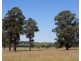 Lot 102, 221 Debeyers Road, Pokolbin NSW 2320