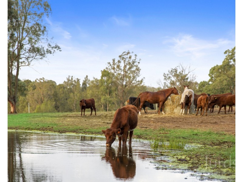 1356 Wine Country Drive, Rothbury NSW 2320