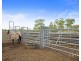 1356 Wine Country Drive, Rothbury NSW 2320