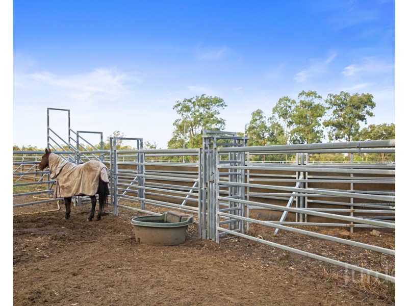 1356 Wine Country Drive, Rothbury NSW 2320