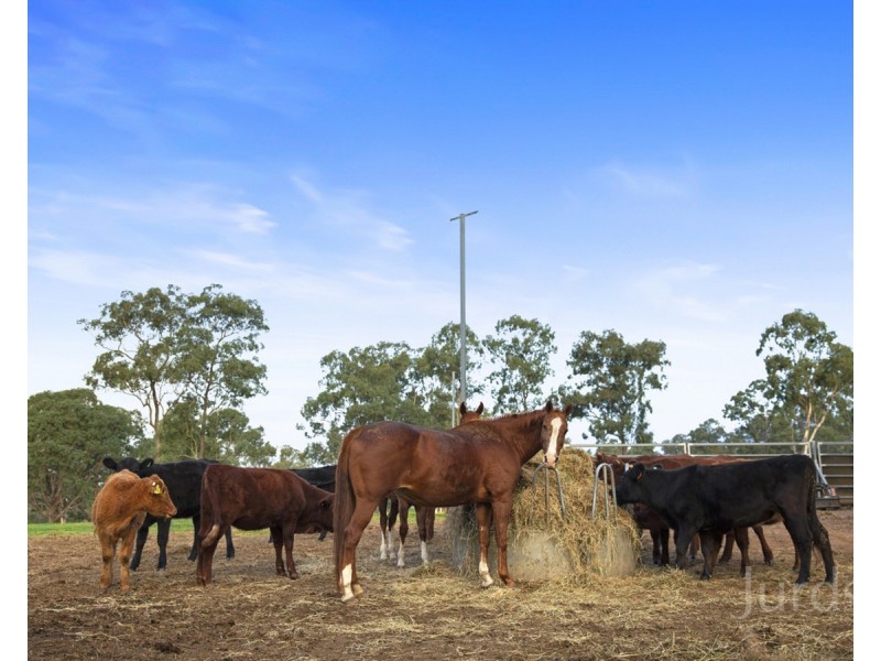 1356 Wine Country Drive, Rothbury NSW 2320