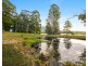 1308 Leggetts Drive, Brunkerville NSW 2323
