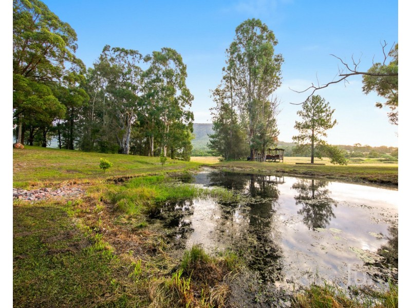 1308 Leggetts Drive, Brunkerville NSW 2323