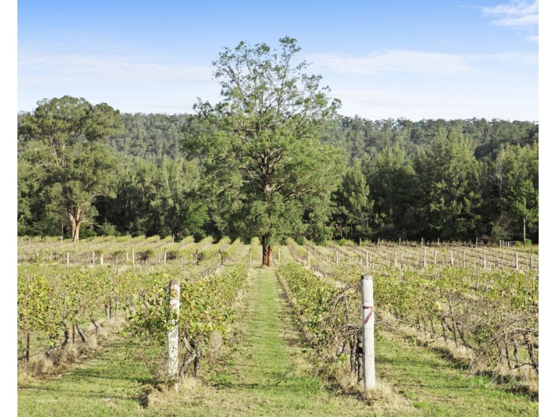 25 Charlton Street, Wollombi NSW 2325