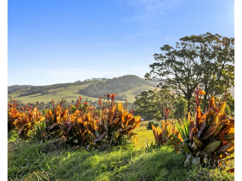 140 Mount Vincent Road, Mulbring NSW 2323