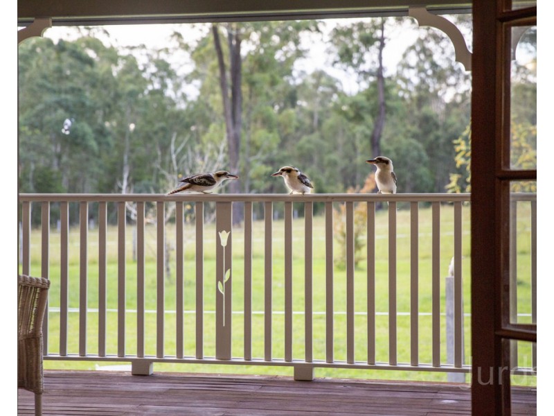 71 Howells Road, Elrington NSW 2325