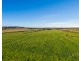 1428 Raymond Terrace Road, Nelsons Plains NSW 2324