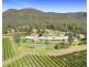 997 Milbrodale Road, Broke NSW 2330