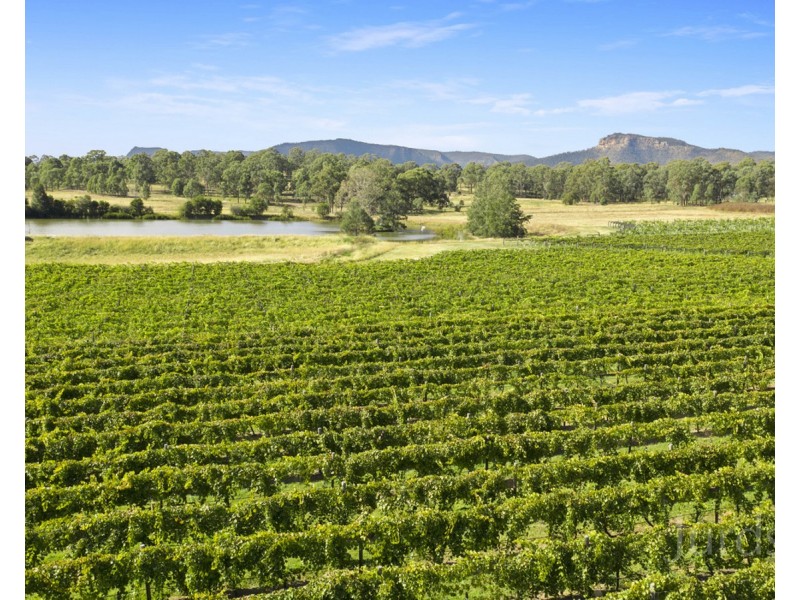 997 Milbrodale Road, Broke NSW 2330