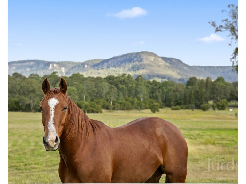 76 Wollong Road, Quorrobolong NSW 2325