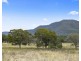 156 Wollombi Road, Broke NSW 2330